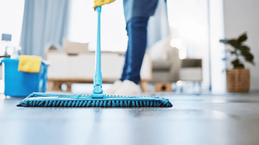 Cleaning Housekeeping